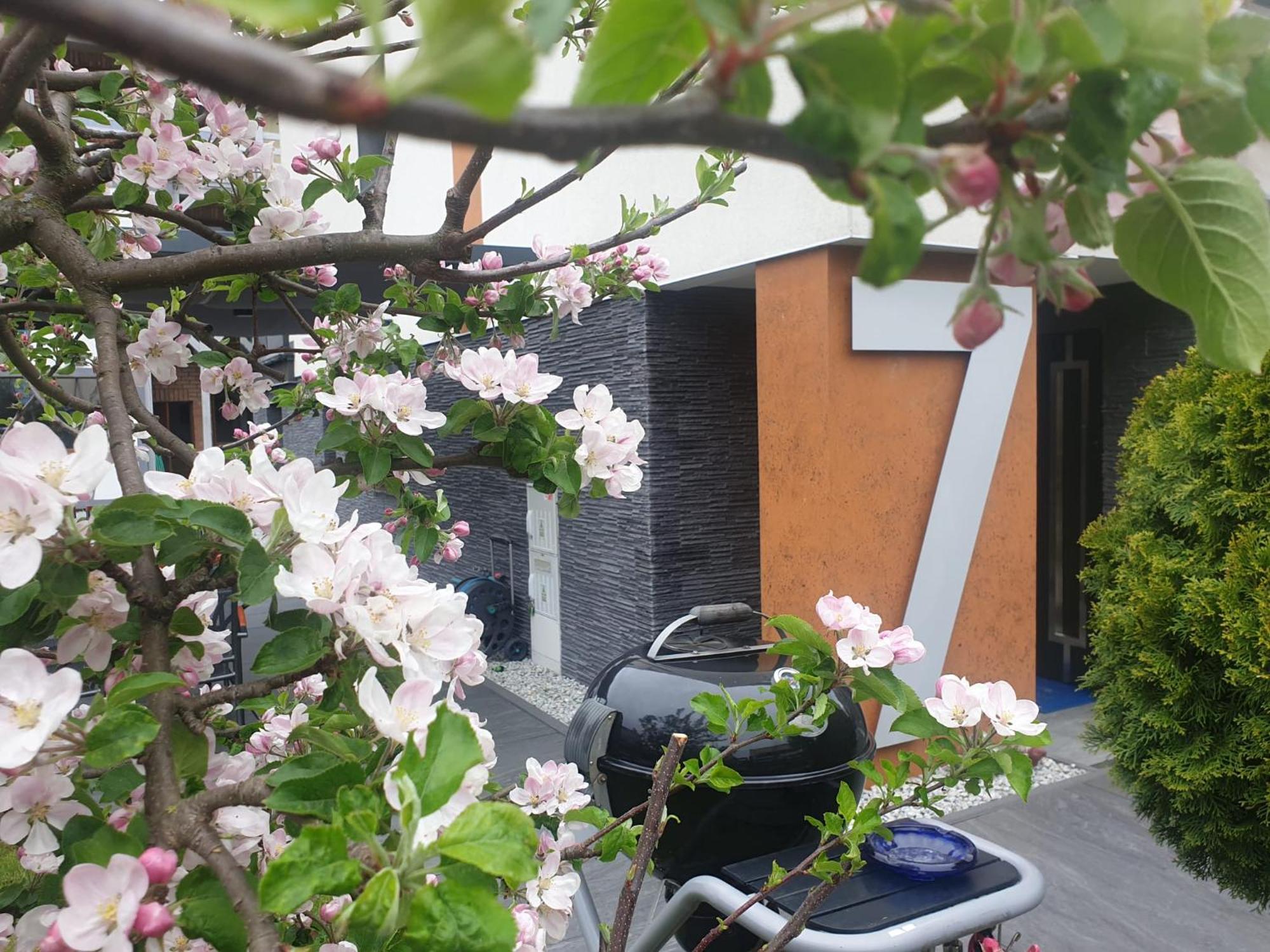 Homestay Sandra I
